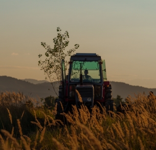 Massey Ferguson